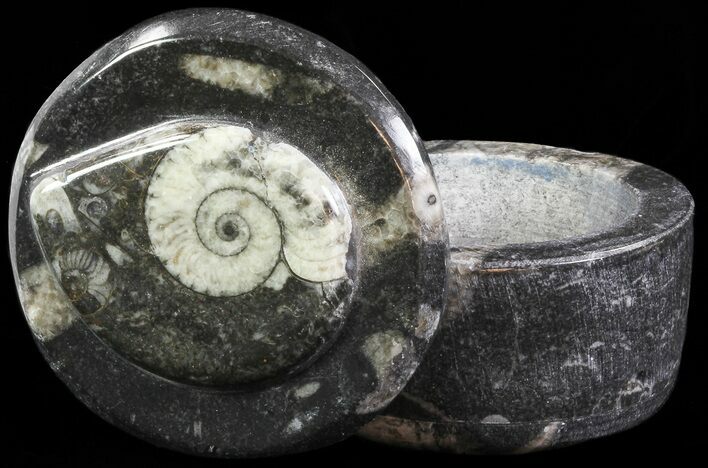 Small Fossil Goniatite Jar (Black) - Stoneware #66579